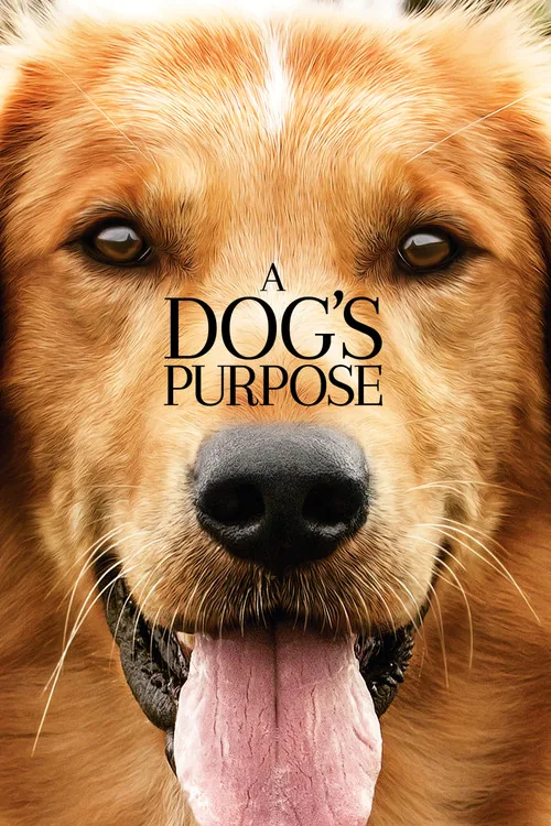 Can Dostum film afişi